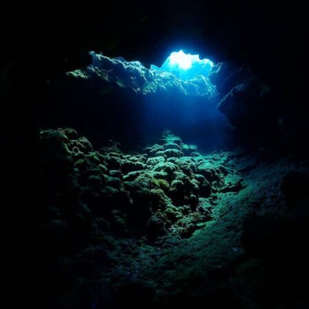 101567561_172361060970557_3340816251565722116_n