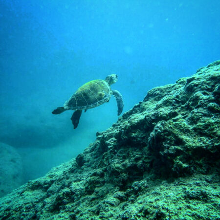 AA0A24D5-7F3F-4718-96AC-F1795949457D