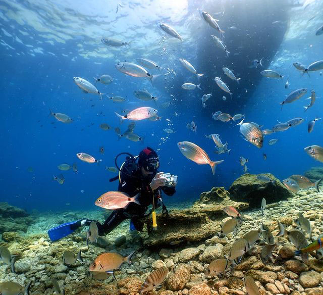 44247241_280720902573915_1293192187028707337_n-1 44247241_280720902573915_1293192187028707337_n-1