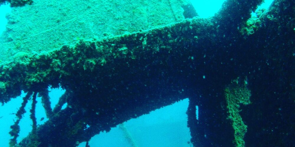 47D0DE4D-4284-405A-A38A-95345CFA857D (1)