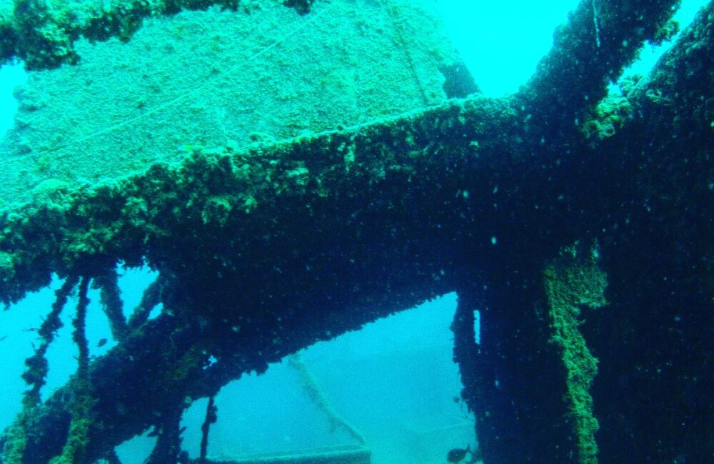 47D0DE4D-4284-405A-A38A-95345CFA857D-1