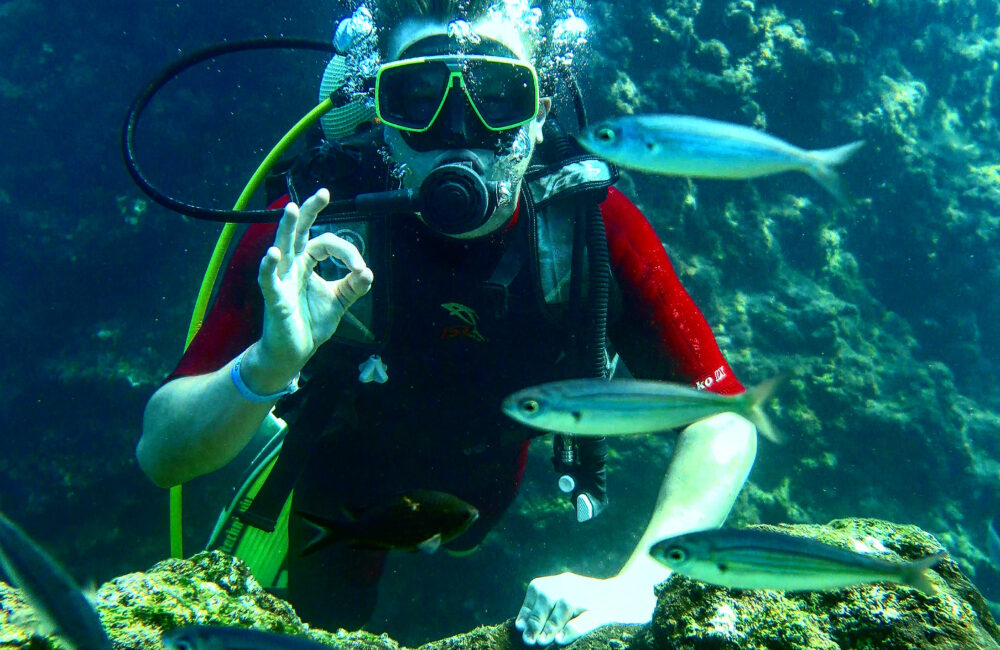 6D1190AF-DC0B-4756-8144-9ABBEA17AFC7