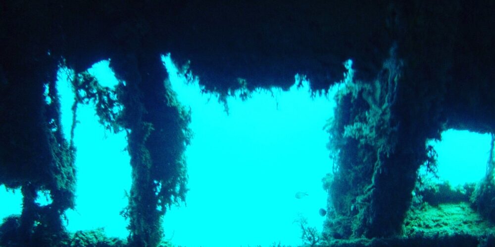 8222E14E-4F03-42AB-8657-BAF8DACEE822 (2)