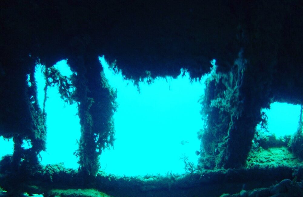 8222E14E-4F03-42AB-8657-BAF8DACEE822-2