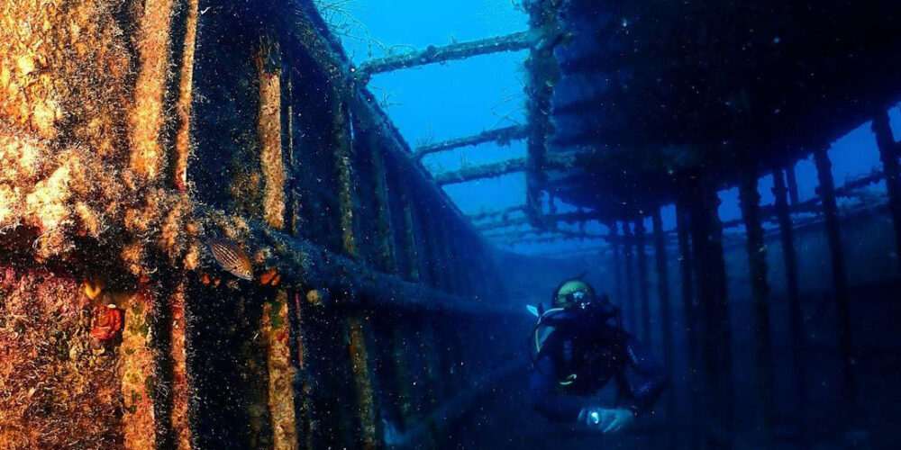 93430252_2517724311666165_2479283589135151676_n