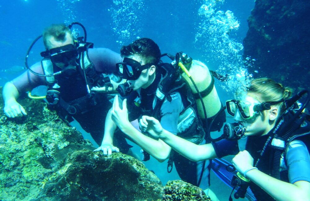 A7318F1B-E340-4C69-9A97-E6881C67EE0D A7318F1B-E340-4C69-9A97-E6881C67EE0D