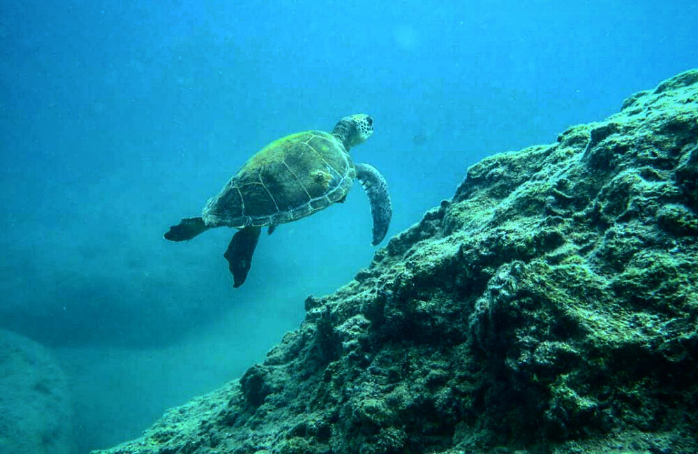 AA0A24D5-7F3F-4718-96AC-F1795949457D AA0A24D5-7F3F-4718-96AC-F1795949457D