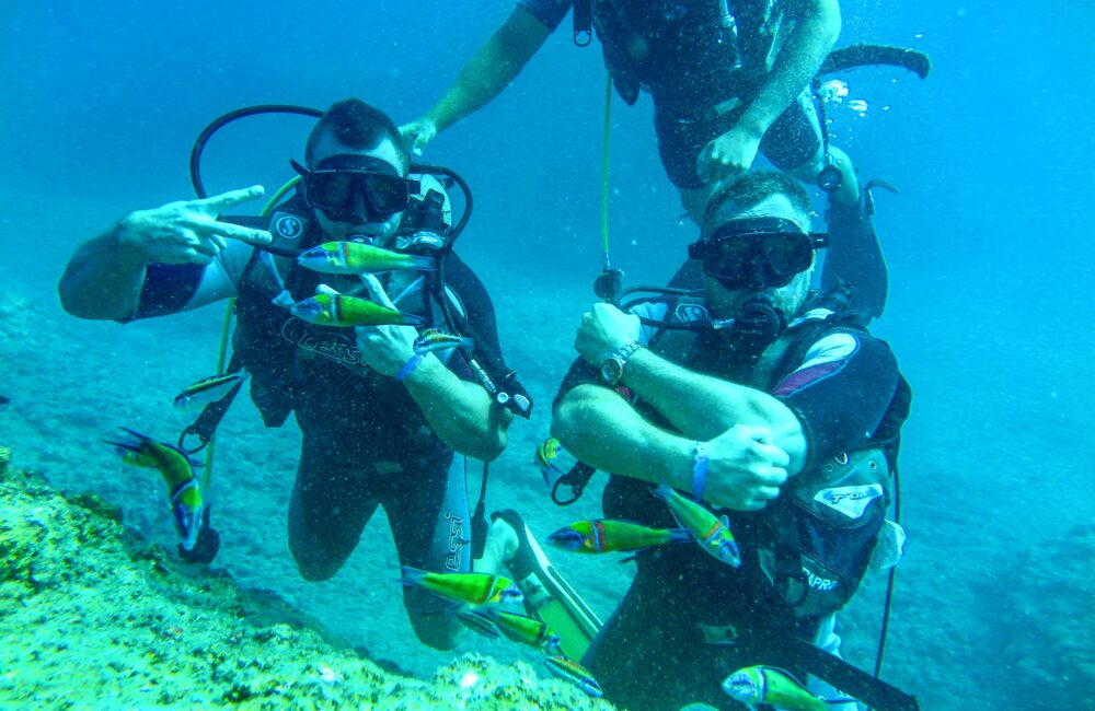 IMG_6955-1000x650 IMG_6955-1000x650