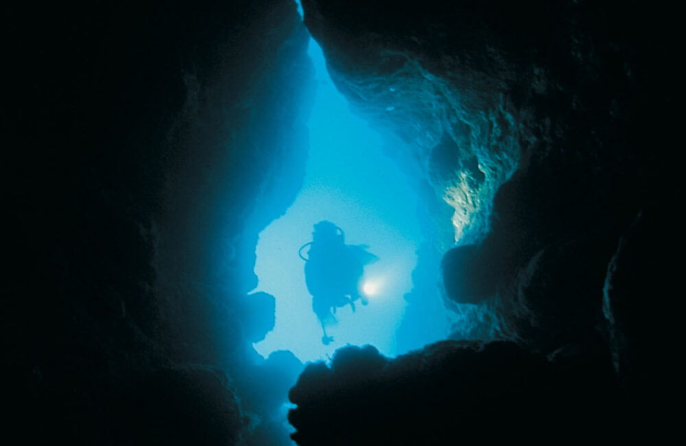 JOB0009-2_2-1 JOB0009-2_2-1