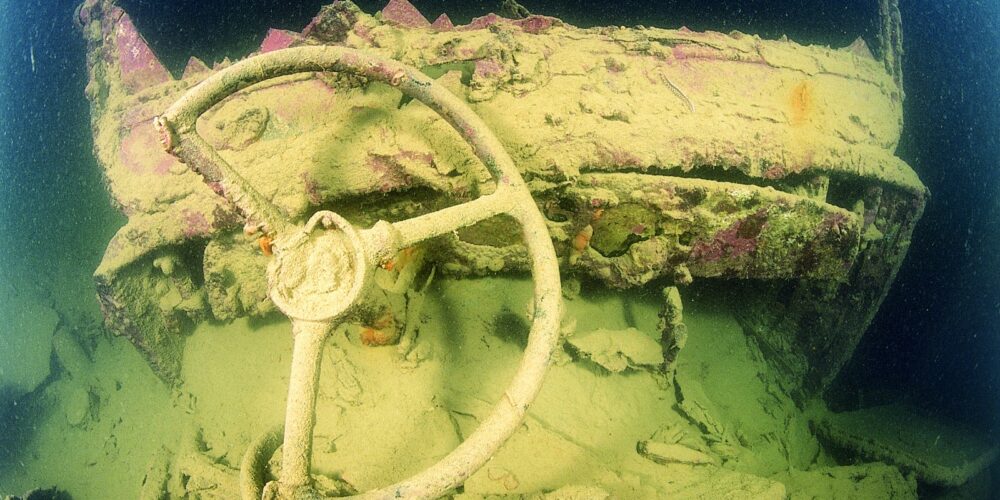 PHOTO-2019-05-02-19-10-40 (1)