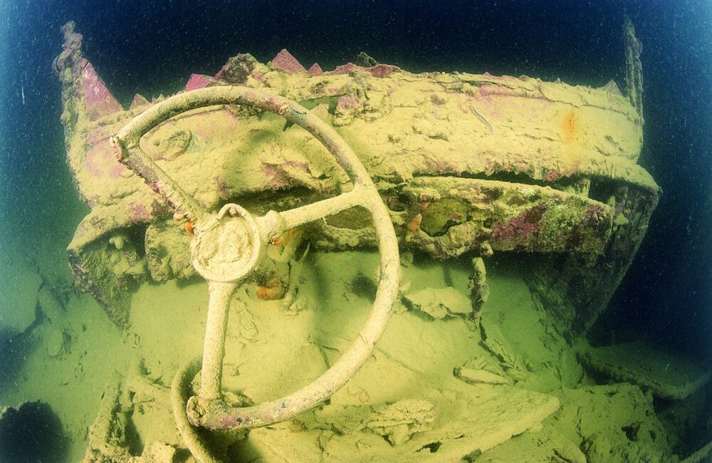 PHOTO-2019-05-02-19-10-40-1