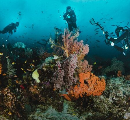 divers-taking-pictures-reef_1360-15